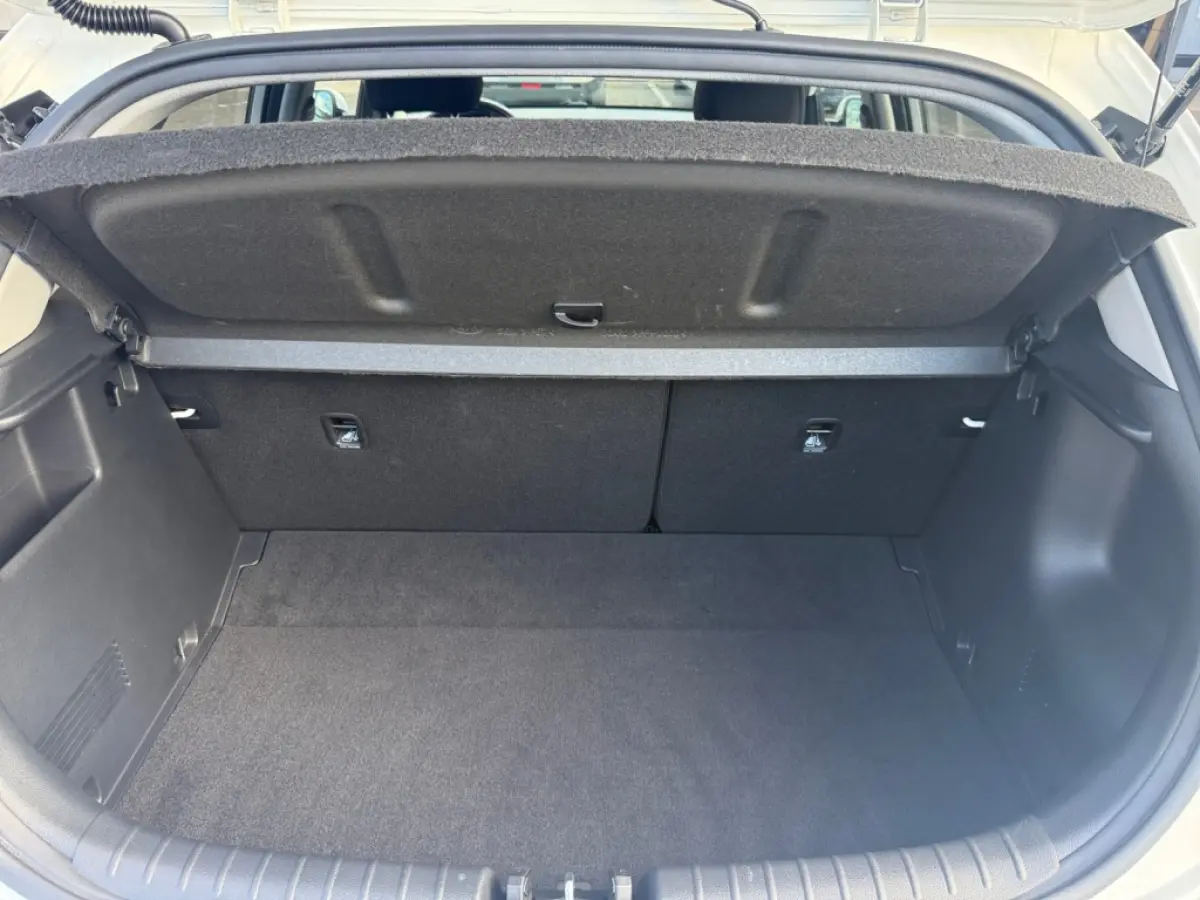 1.0 T-GDi MHEV Dynamic plusline