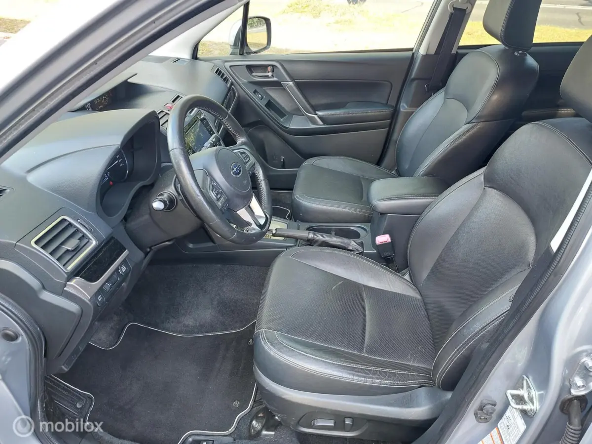 2.0 Premium 4WD Automaat Clima Panodak NAP