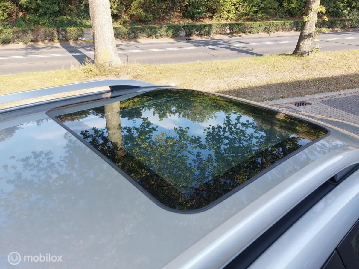 2.0 Premium 4WD Automaat Clima Panodak NAP
