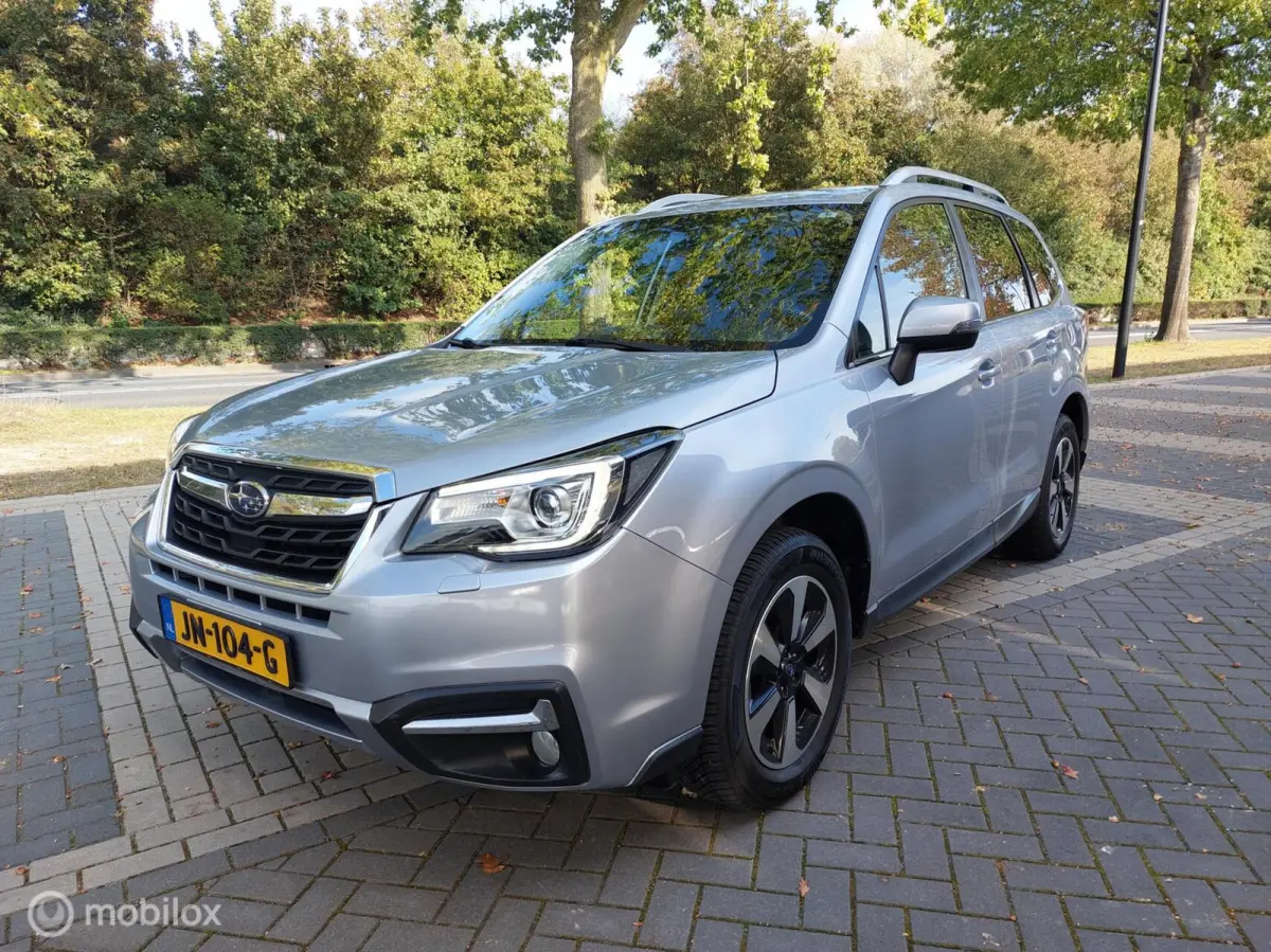 2.0 Premium 4WD Automaat Clima Panodak NAP