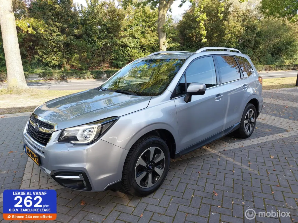 2.0 Premium 4WD Automaat Clima Panodak NAP