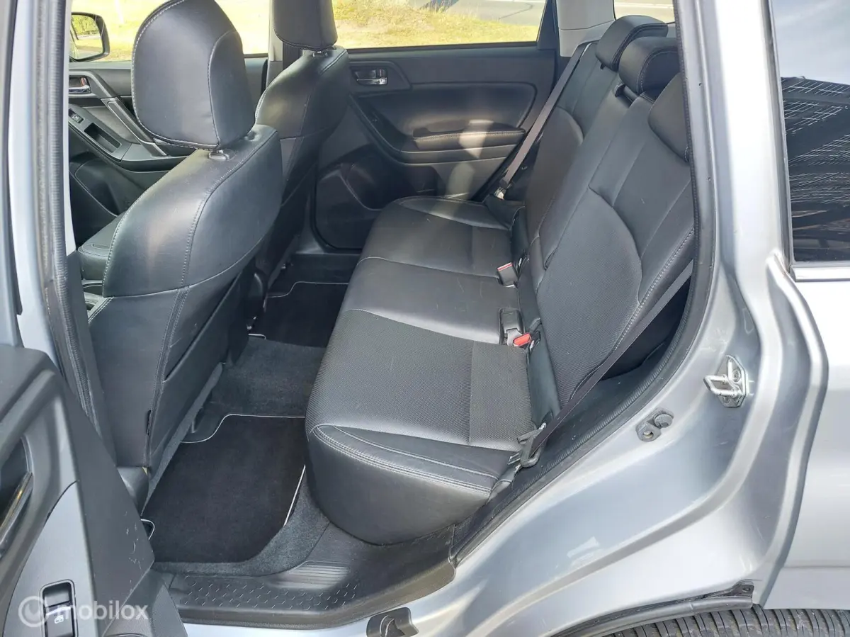 2.0 Premium 4WD Automaat Clima Panodak NAP