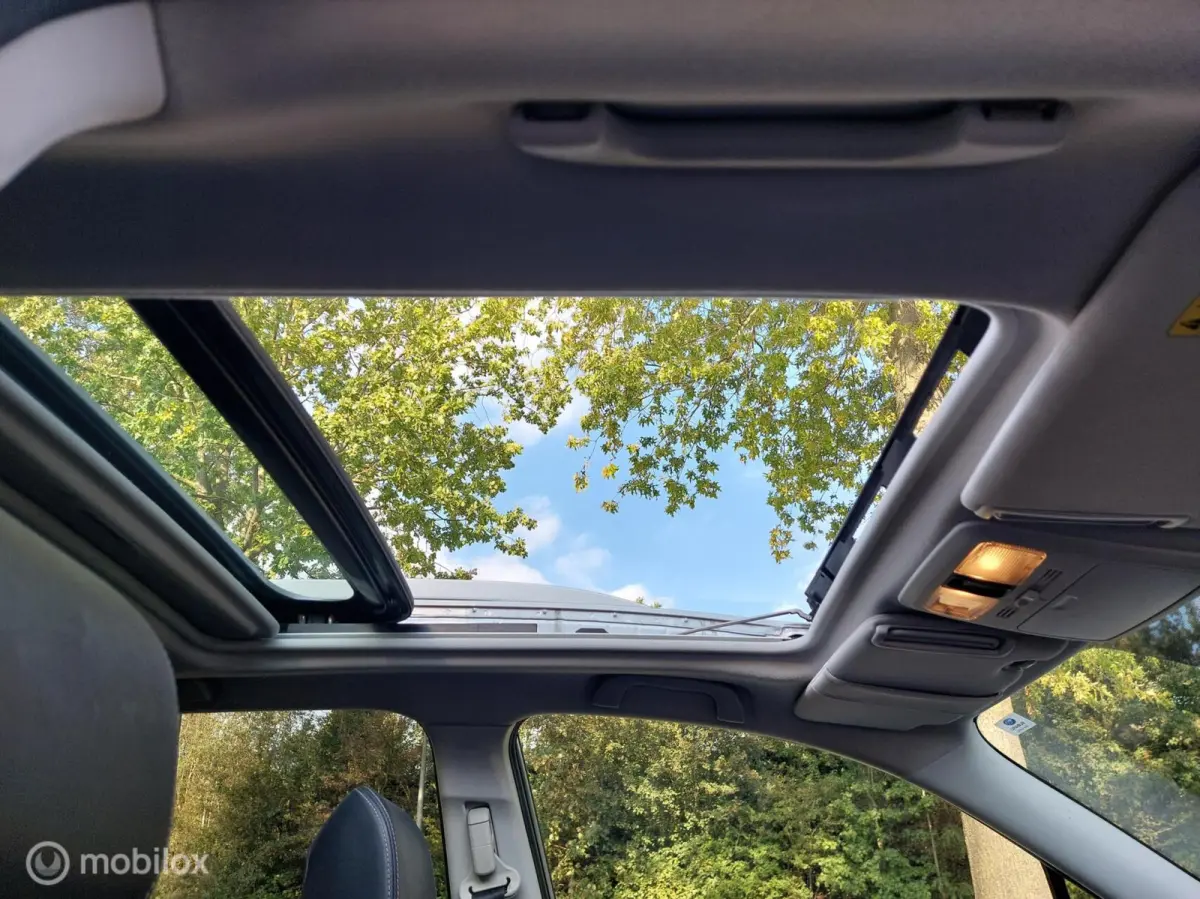 2.0 Premium 4WD Automaat Clima Panodak NAP