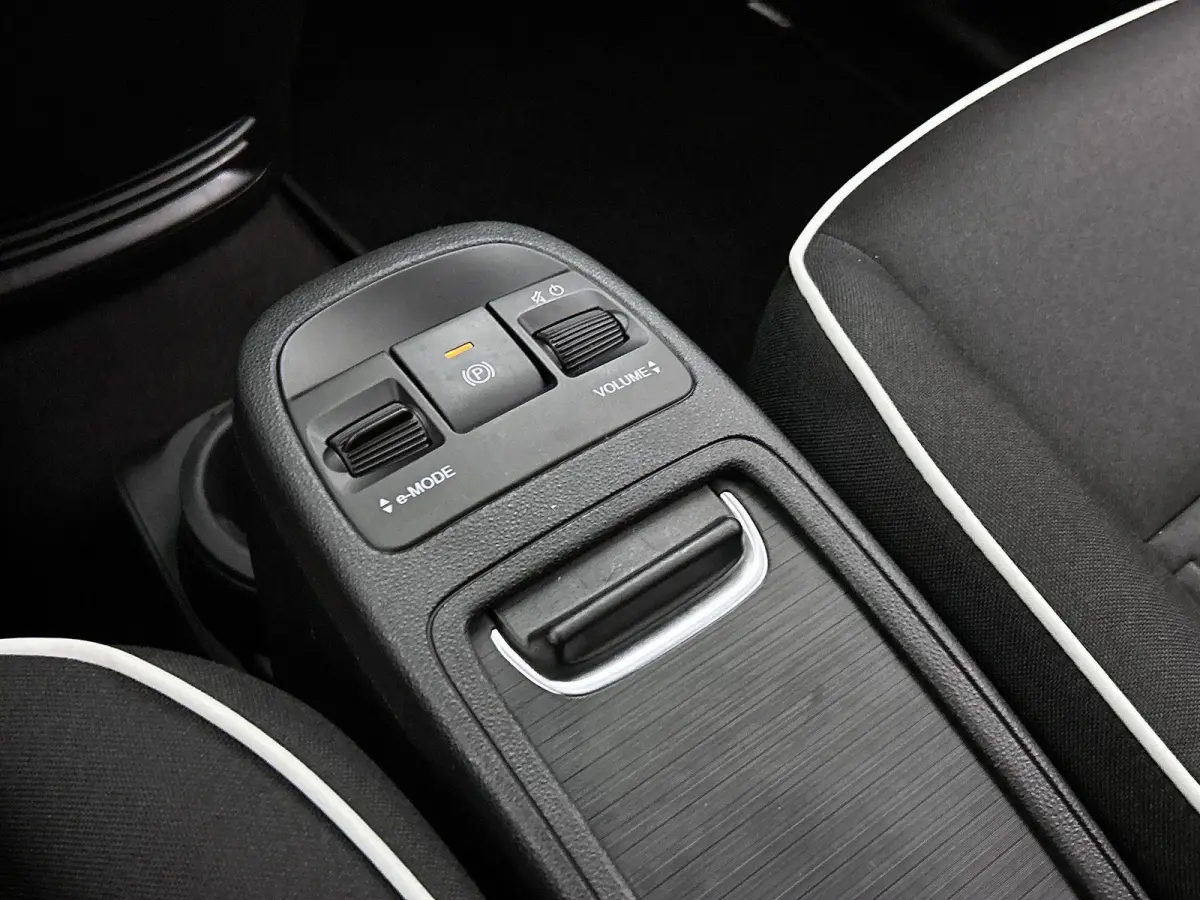 Icon 42 kWh 118pk Automaat | Apple Carplay/Android Auto | Climate Control | Cruise Control | Stoelverwarming | Dodehoekdetectie | Camera |