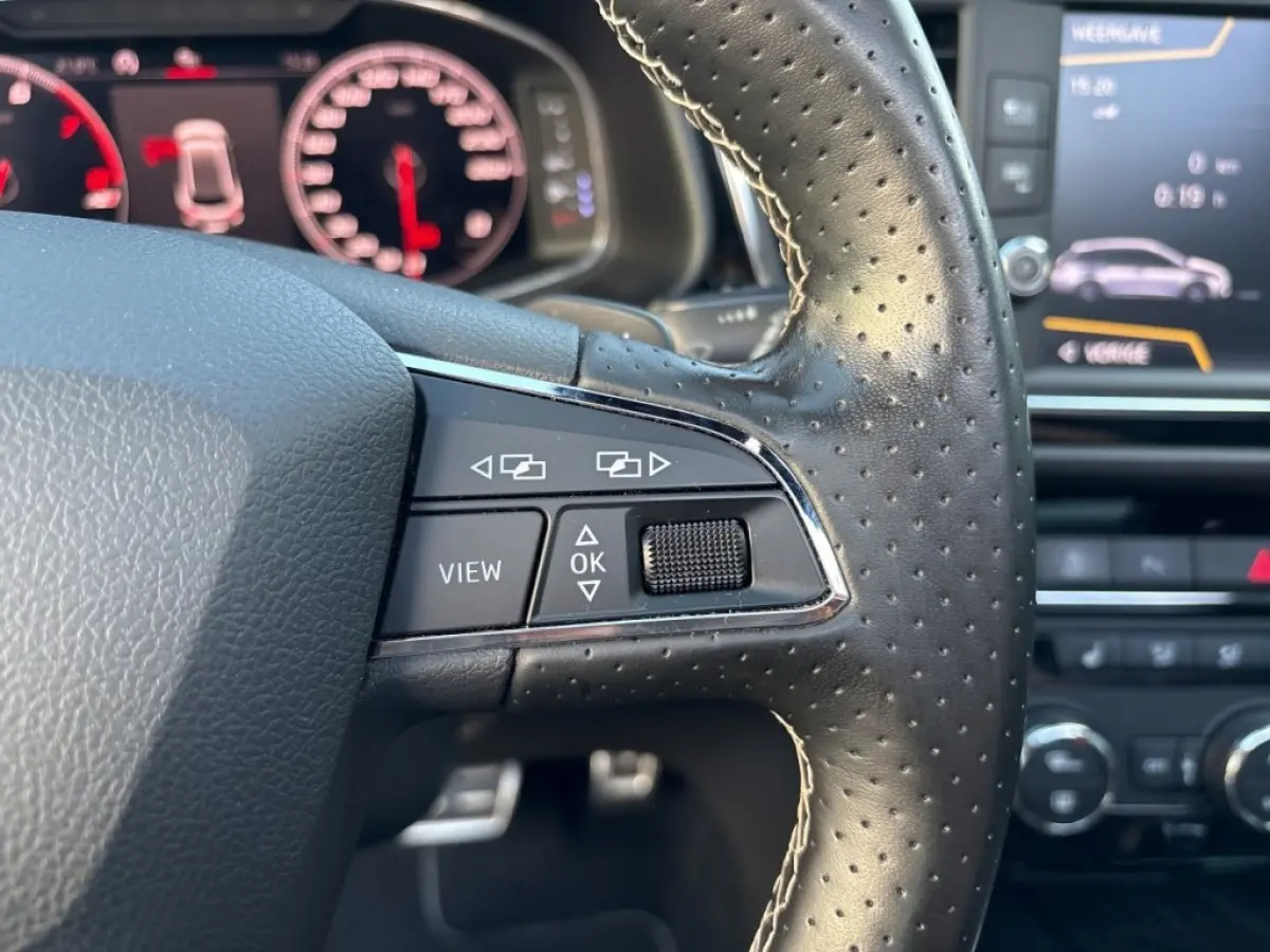 2.0 TSI CUPRA 300 4DRIVE PANO-DAK/LEDER/BREMBO/BEATS/CAMERA/ACC/STOELVERW