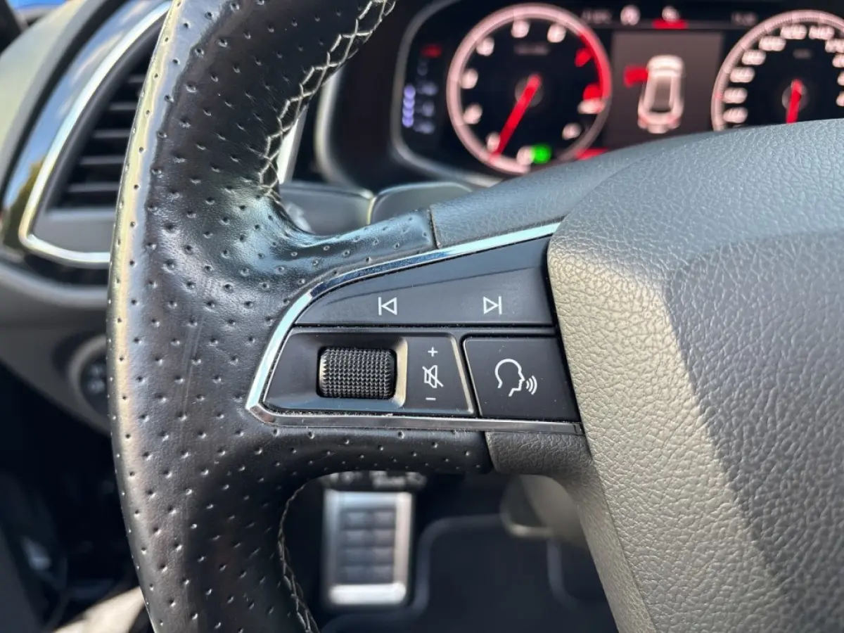 2.0 TSI CUPRA 300 4DRIVE PANO-DAK/LEDER/BREMBO/BEATS/CAMERA/ACC/STOELVERW