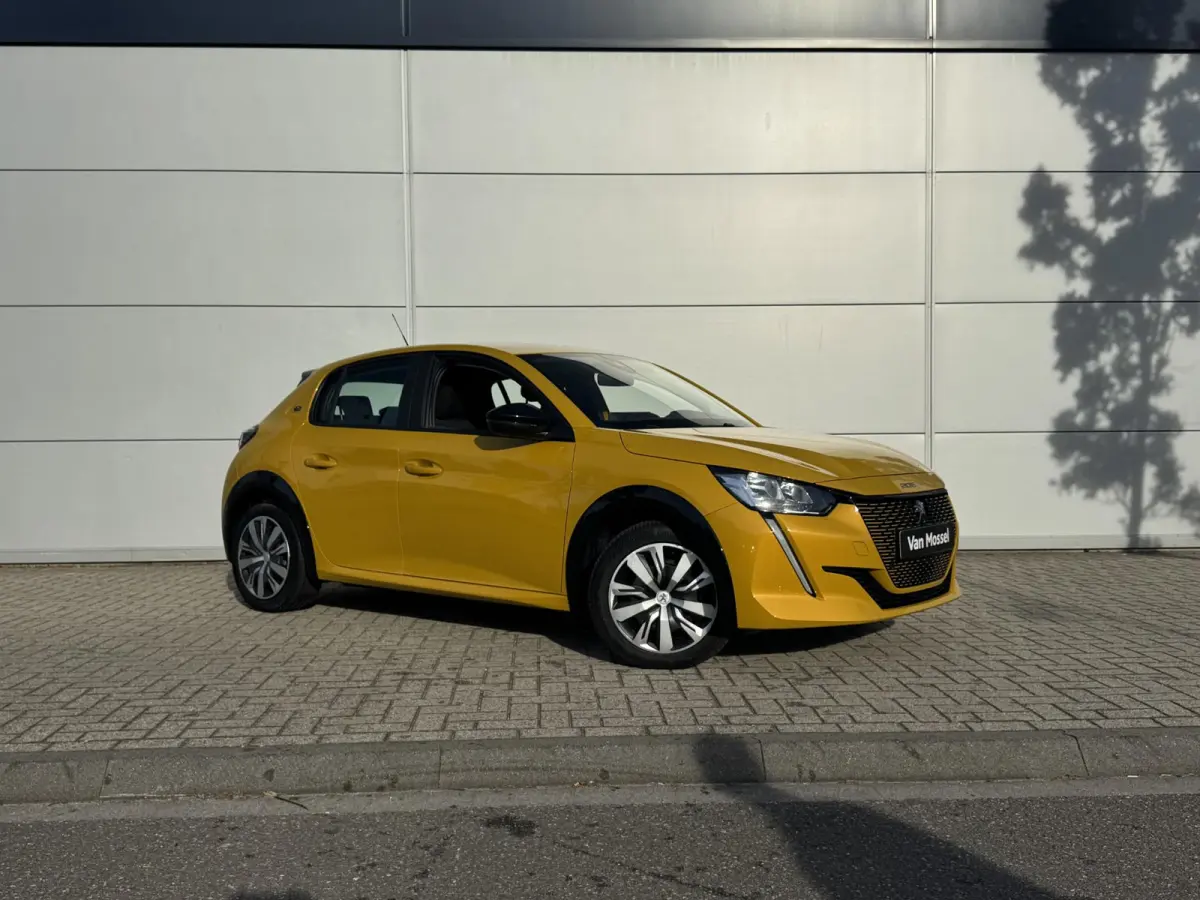 EV Active 50 kWh | Parkeerhulp | Cruise Control | Apple Carplay/Android Auto