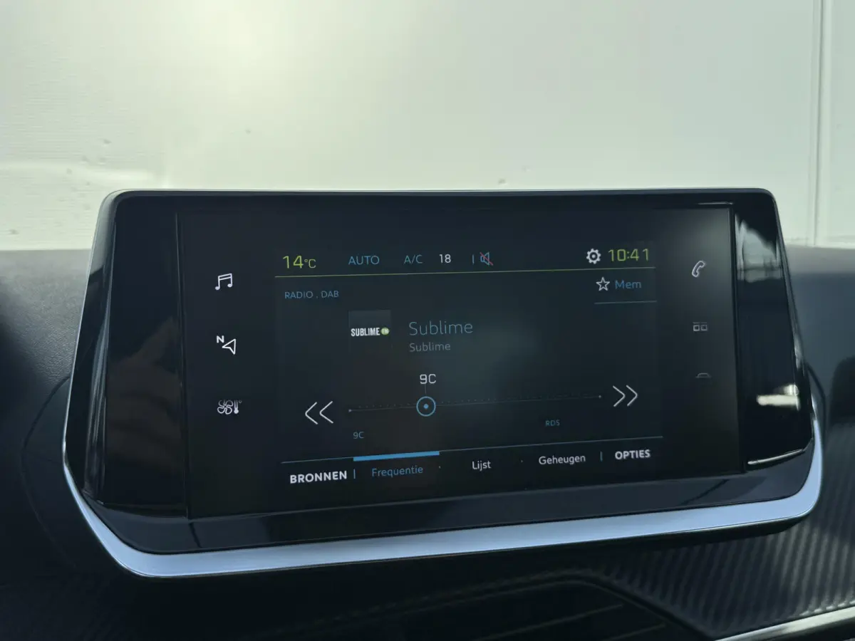 EV Active 50 kWh | Parkeerhulp | Cruise Control | Apple Carplay/Android Auto