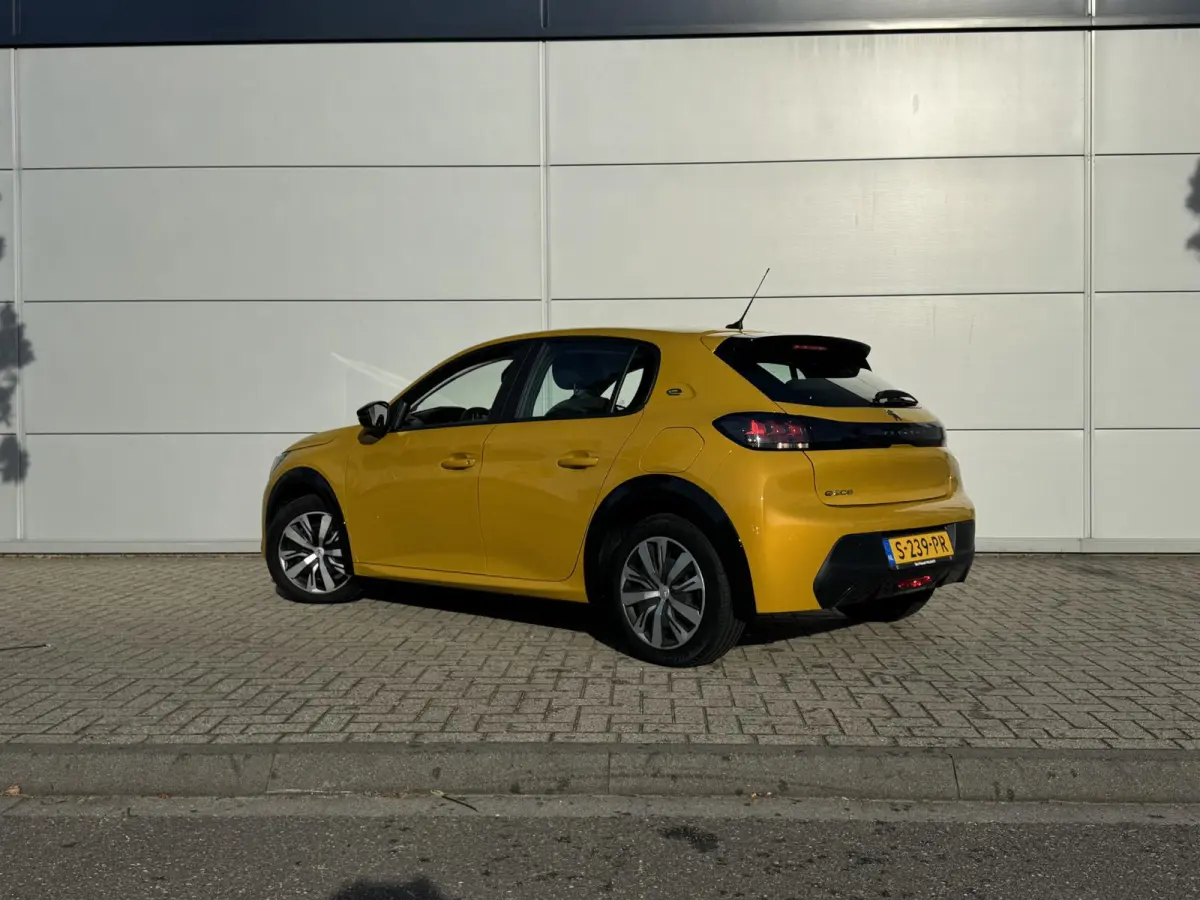 EV Active 50 kWh | Parkeerhulp | Cruise Control | Apple Carplay/Android Auto