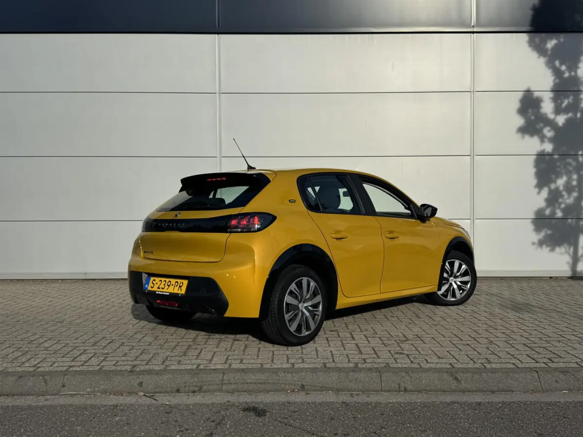 EV Active 50 kWh | Parkeerhulp | Cruise Control | Apple Carplay/Android Auto