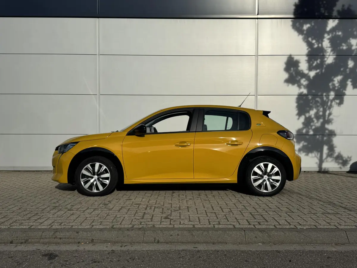 EV Active 50 kWh | Parkeerhulp | Cruise Control | Apple Carplay/Android Auto