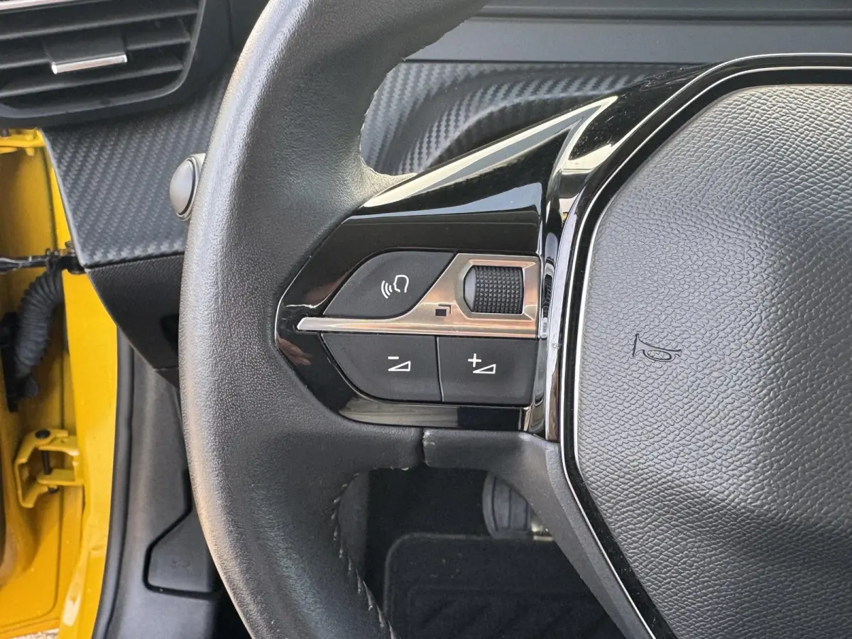 EV Active 50 kWh | Parkeerhulp | Cruise Control | Apple Carplay/Android Auto