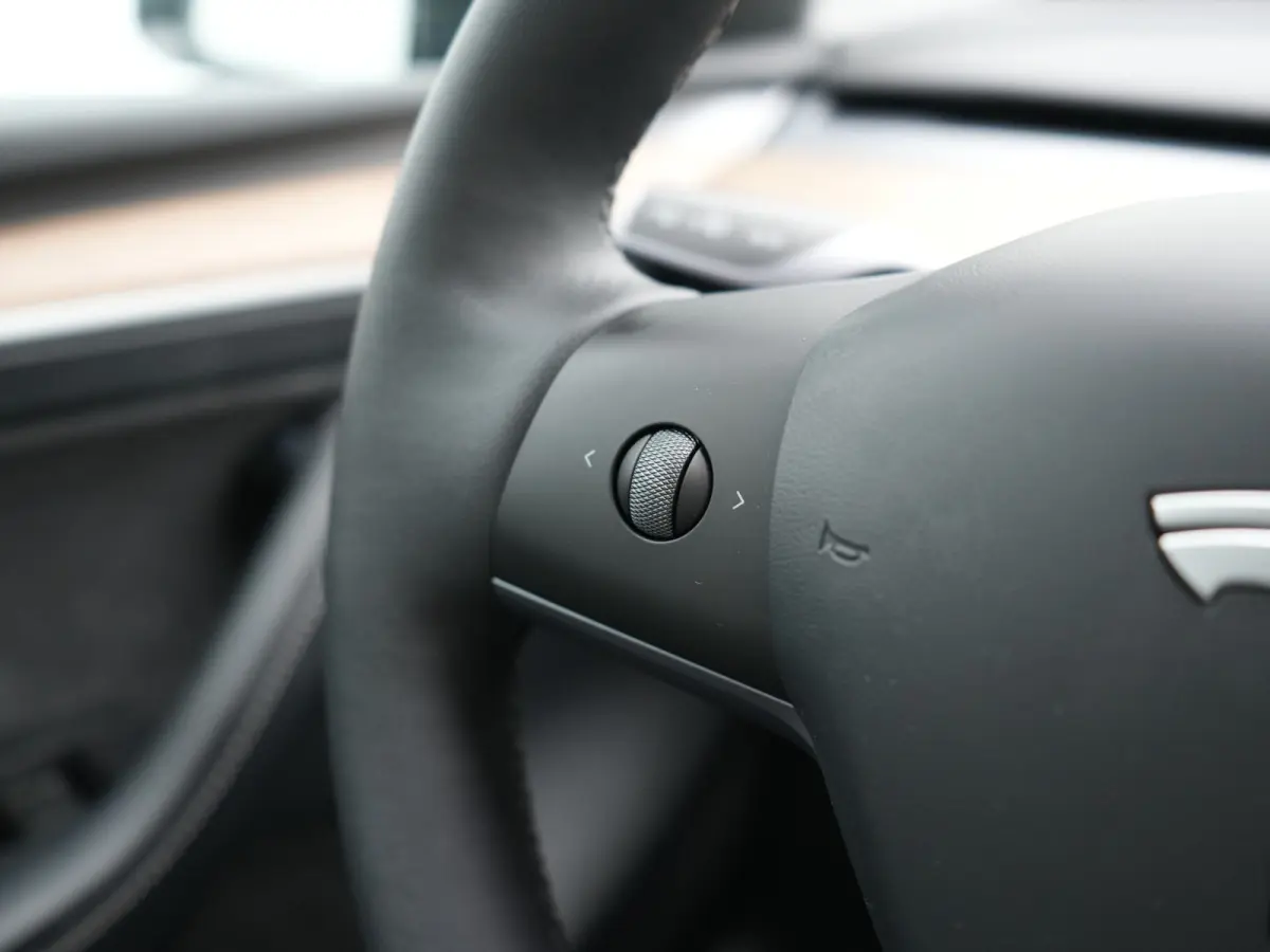 RWD 58 kWh 299pk Dealer O.H | Panodak | Full Self Driving Capability | Adaptive Cruise | 360 Camera | Lederen Sportstoelen Memory & Verwarmd | Keyless | BLIS | Navigatie | Virtual | DAB | Sp