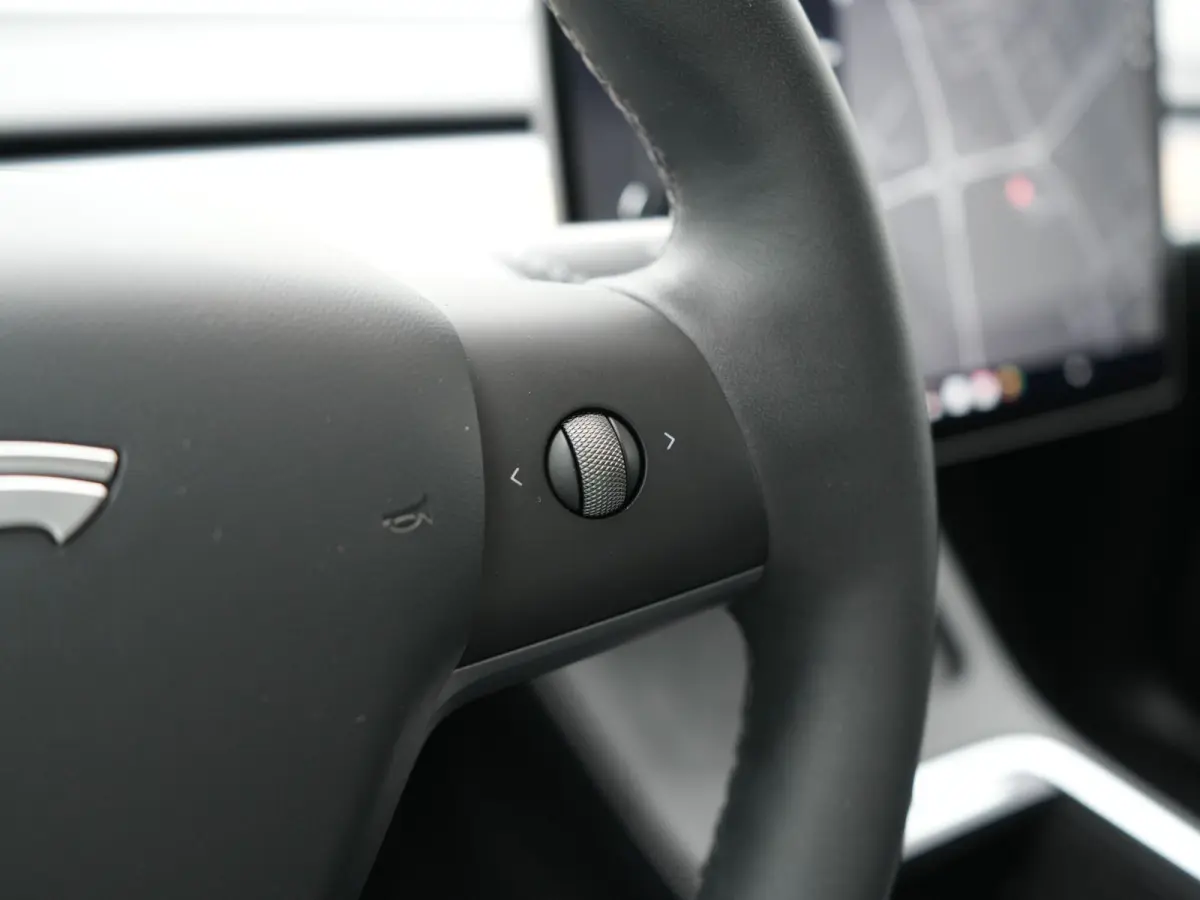 RWD 58 kWh 299pk Dealer O.H | Panodak | Full Self Driving Capability | Adaptive Cruise | 360 Camera | Lederen Sportstoelen Memory & Verwarmd | Keyless | BLIS | Navigatie | Virtual | DAB | Sp