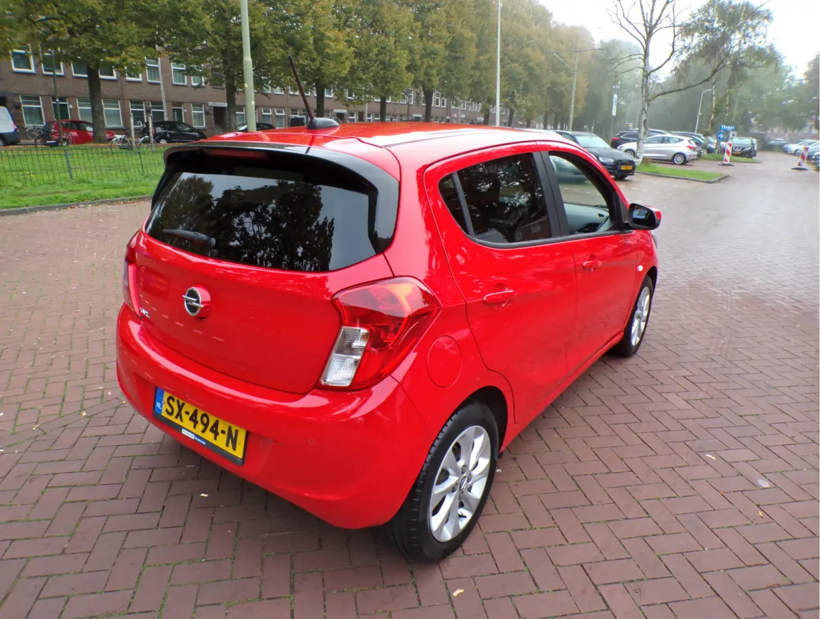 1.0 ecoFLEX Innovation ORG KM NAP APPLECARP CRUISECONT ETC....