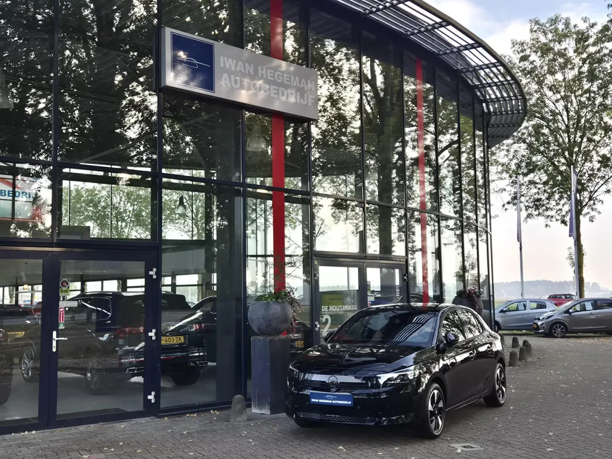Electric GS 51 Kwh Long Range | Navigatie via Apple Carplay / Android | Climate Control | Parkeersensoren + Camera | Cruise Control | Licht metalen velgen