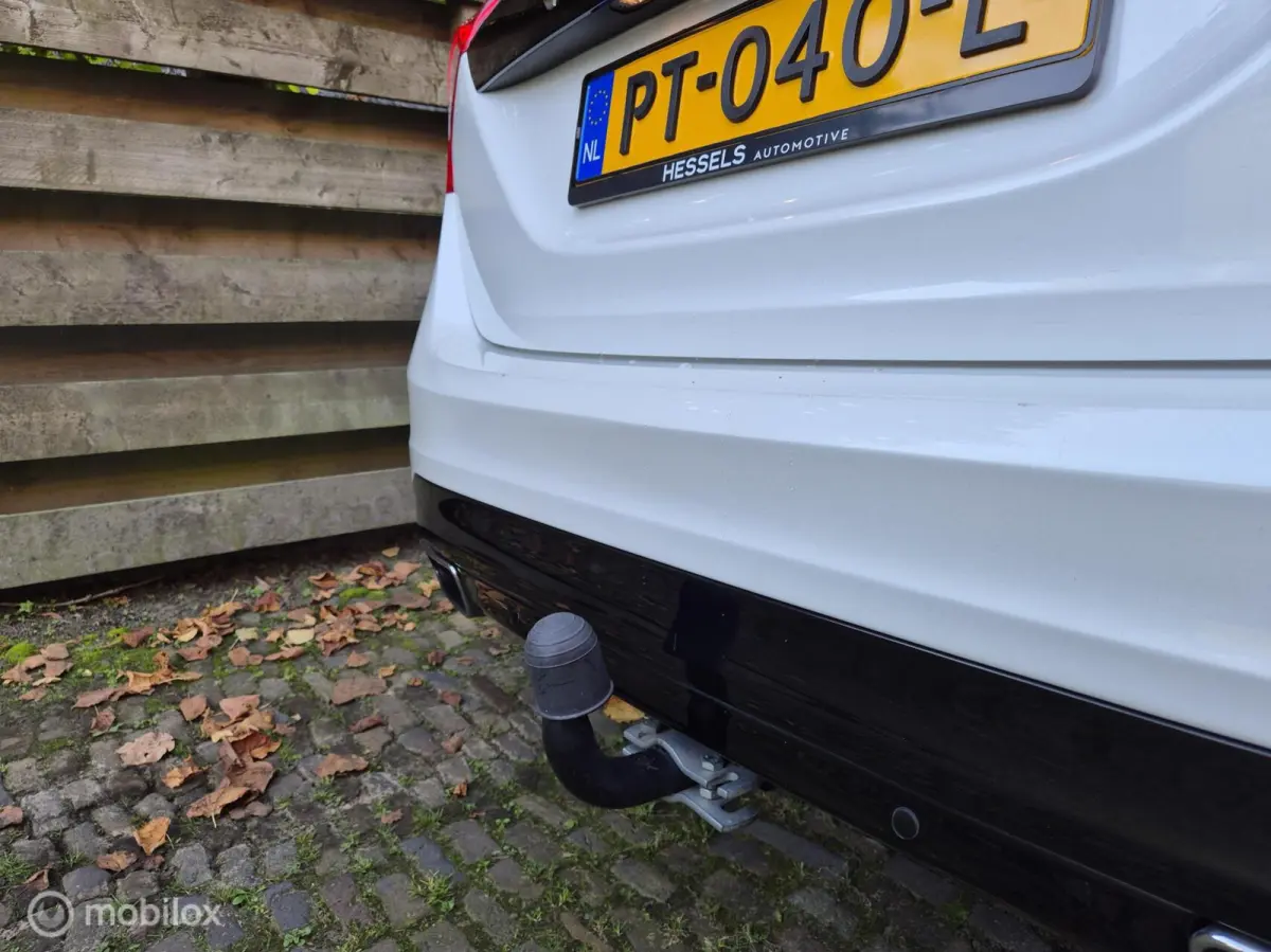 2.0 T3 Polar+ Dynamic NAP Leer Trekhaak