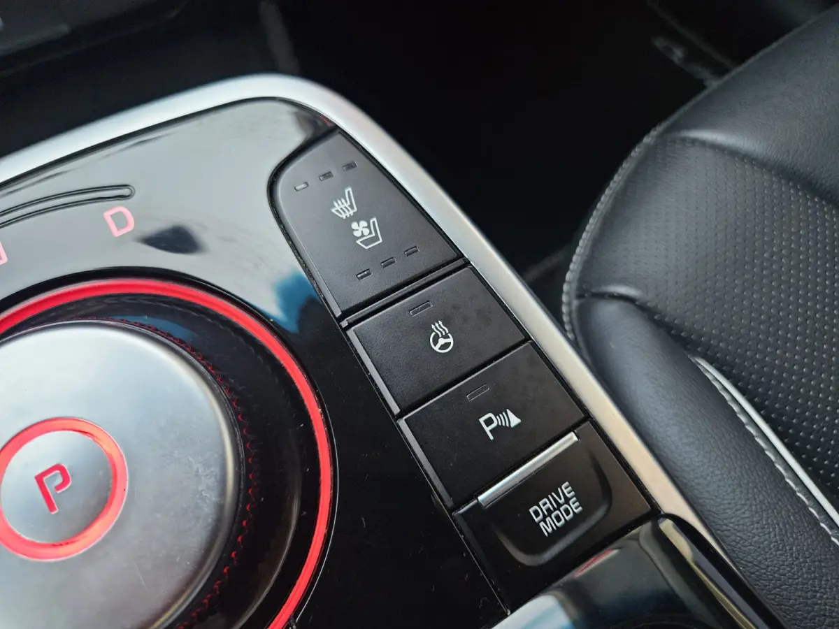 ExecutiveLine 64 kWh SOH 100%! Carplay! Camera! Leer! Nette Auto! Navigatie!