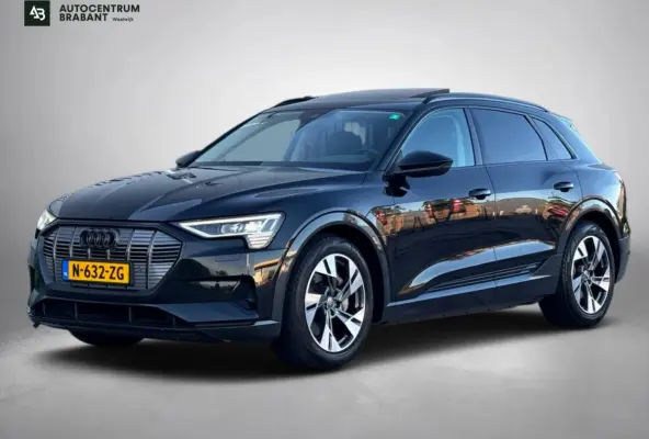 E-tron 55 quattro 95 kWh (Goed OndH, Panorama, Carplay, Trekhaak, Lane Assist, StoelV, Camera, Addapt Cruise, Etc)