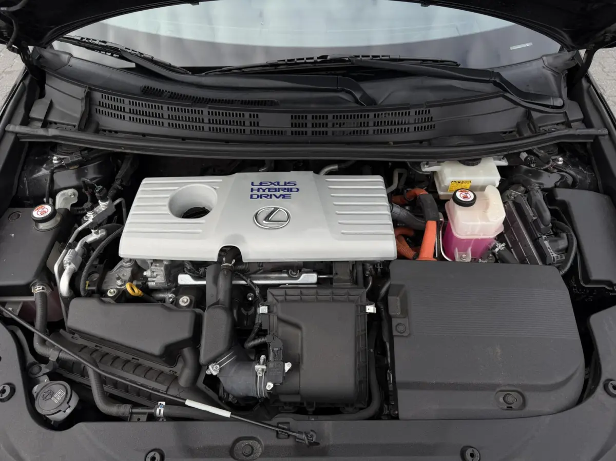 200h Business Line Led - Alcantara - Navi - Camera - Cruise
