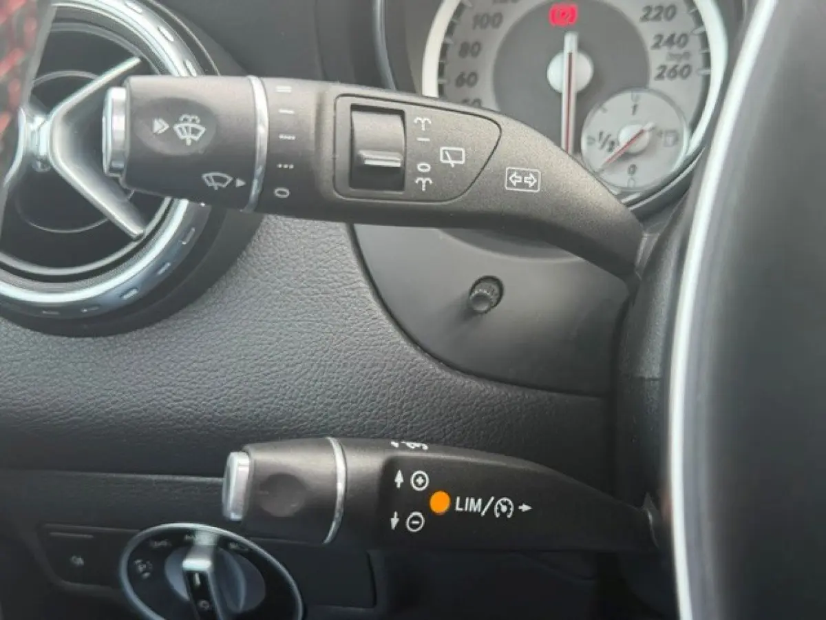 250 AMG Pano LED Cruise Clima Topstaat!!