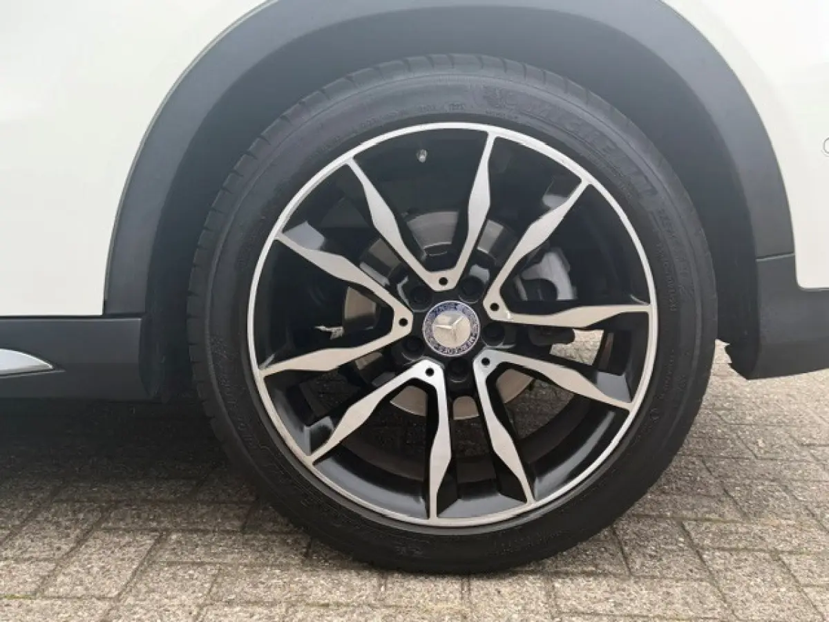 250 AMG Pano LED Cruise Clima Topstaat!!