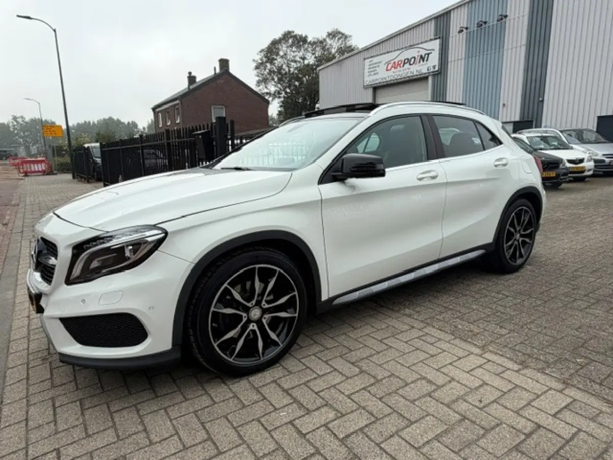 250 AMG Pano LED Cruise Clima Topstaat!!