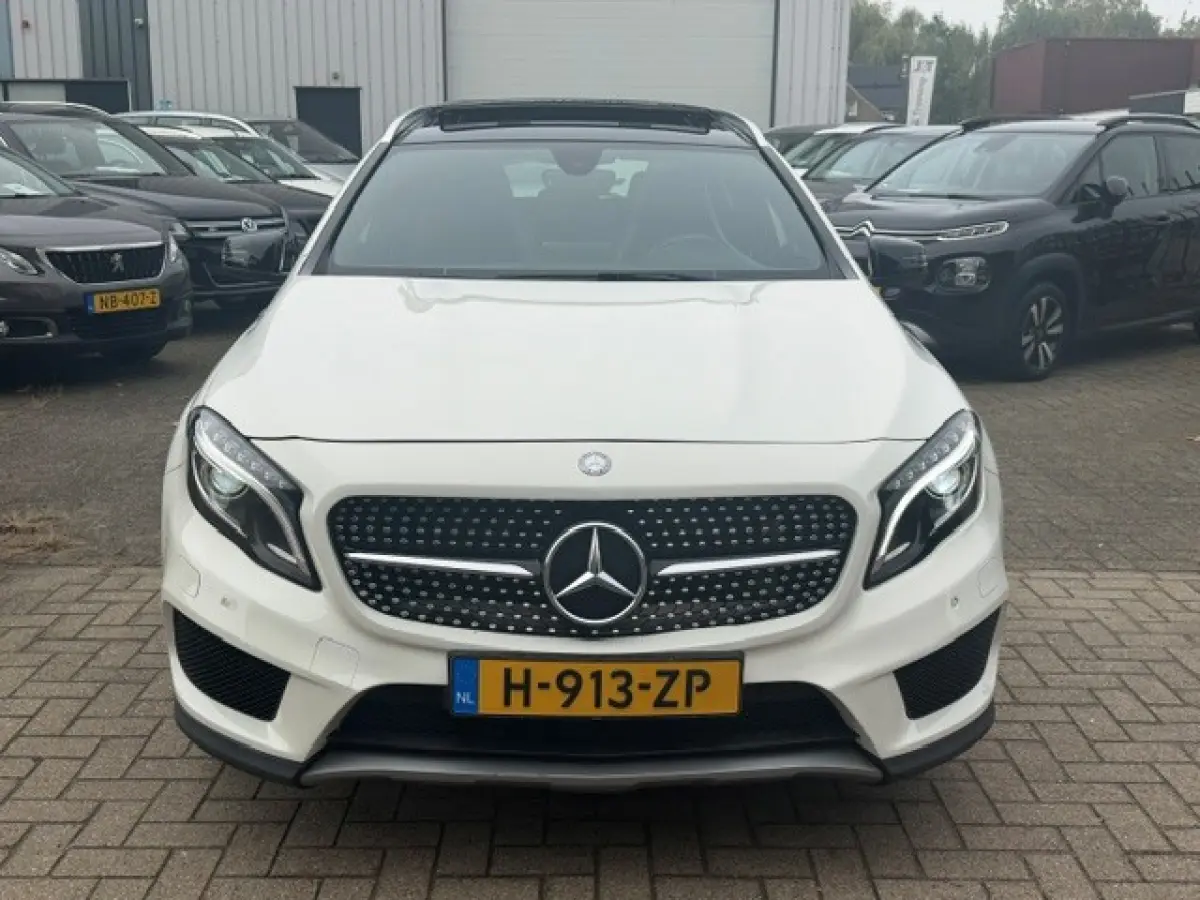 250 AMG Pano LED Cruise Clima Topstaat!!