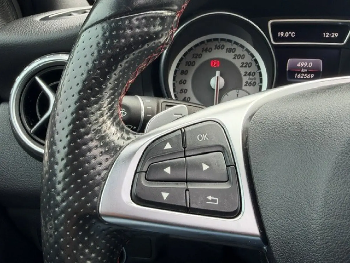 250 AMG Pano LED Cruise Clima Topstaat!!
