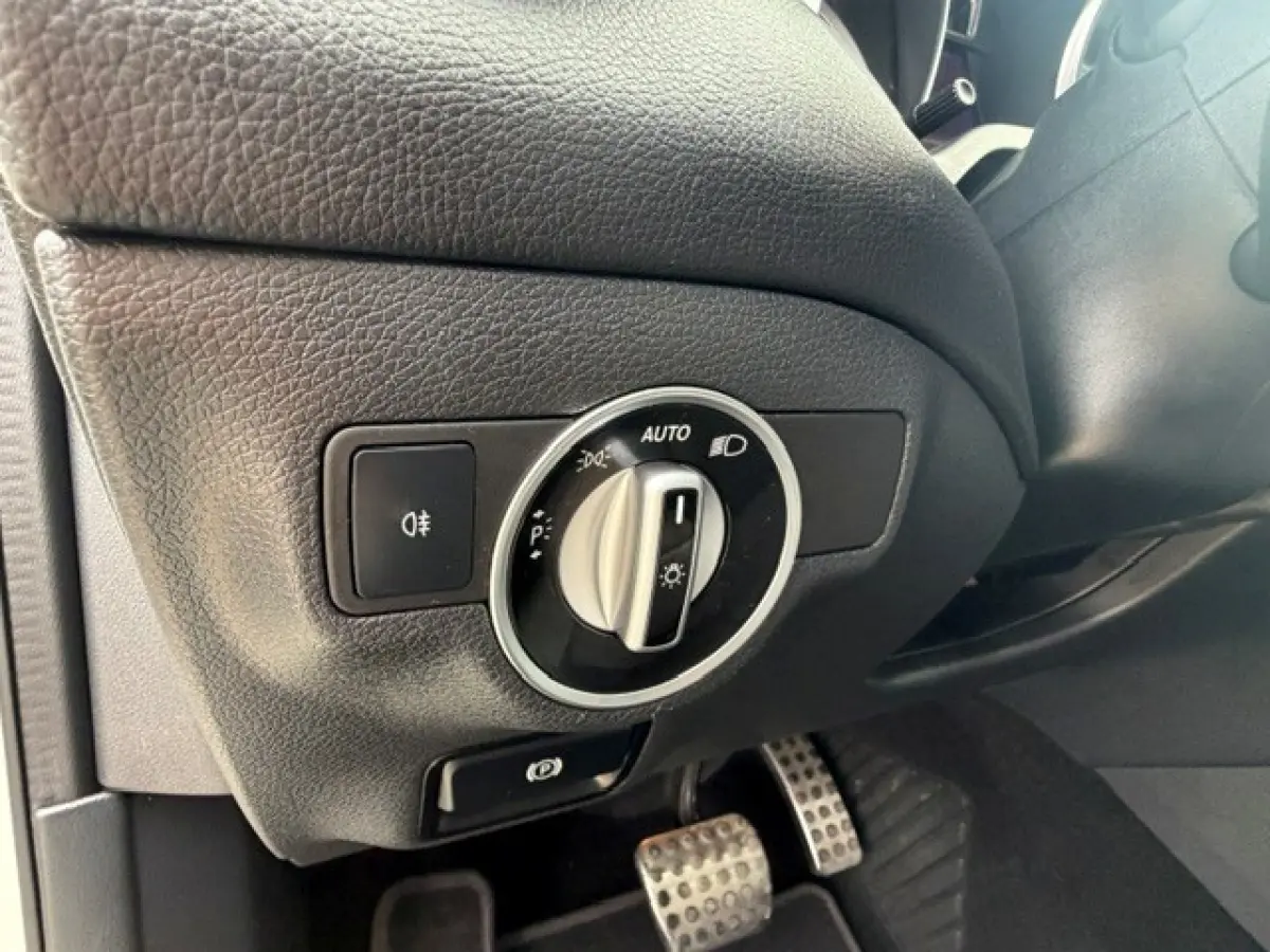 250 AMG Pano LED Cruise Clima Topstaat!!