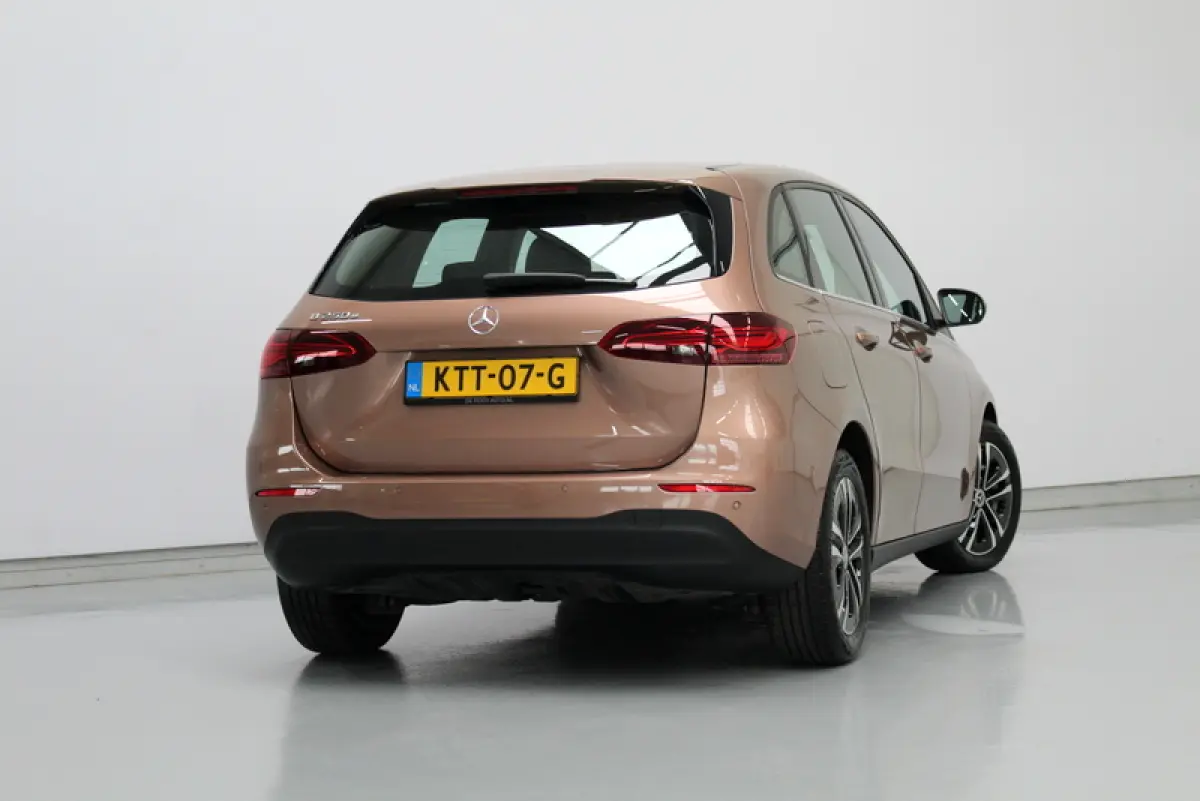 250 e Business Line, HYBRIDE | RIJKLAAR | CAMERA | ELEC-ACHTERKLEP | DEELS LEER | STOELVERWARMING