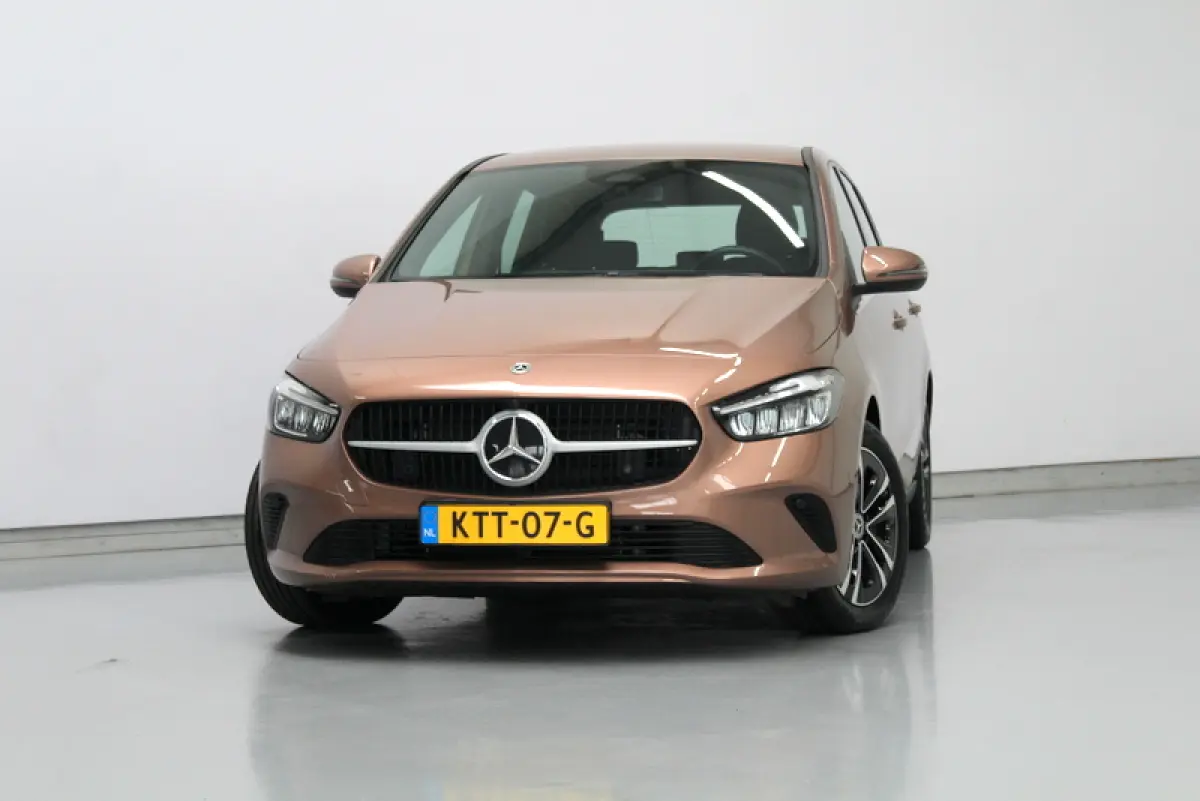250 e Business Line, HYBRIDE | RIJKLAAR | CAMERA | ELEC-ACHTERKLEP | DEELS LEER | STOELVERWARMING