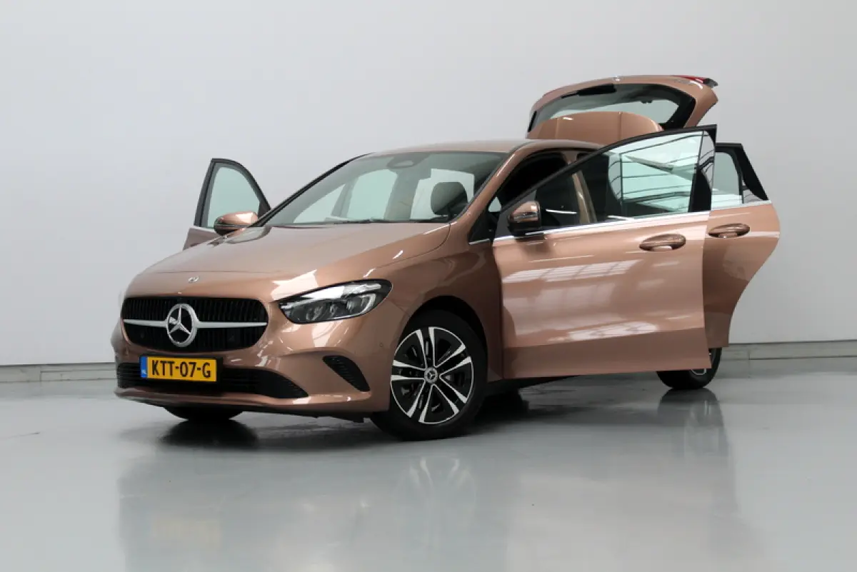 250 e Business Line, HYBRIDE | RIJKLAAR | CAMERA | ELEC-ACHTERKLEP | DEELS LEER | STOELVERWARMING