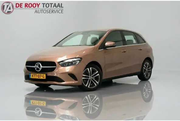 250 e Business Line, HYBRIDE | RIJKLAAR | CAMERA | ELEC-ACHTERKLEP | DEELS LEER | STOELVERWARMING