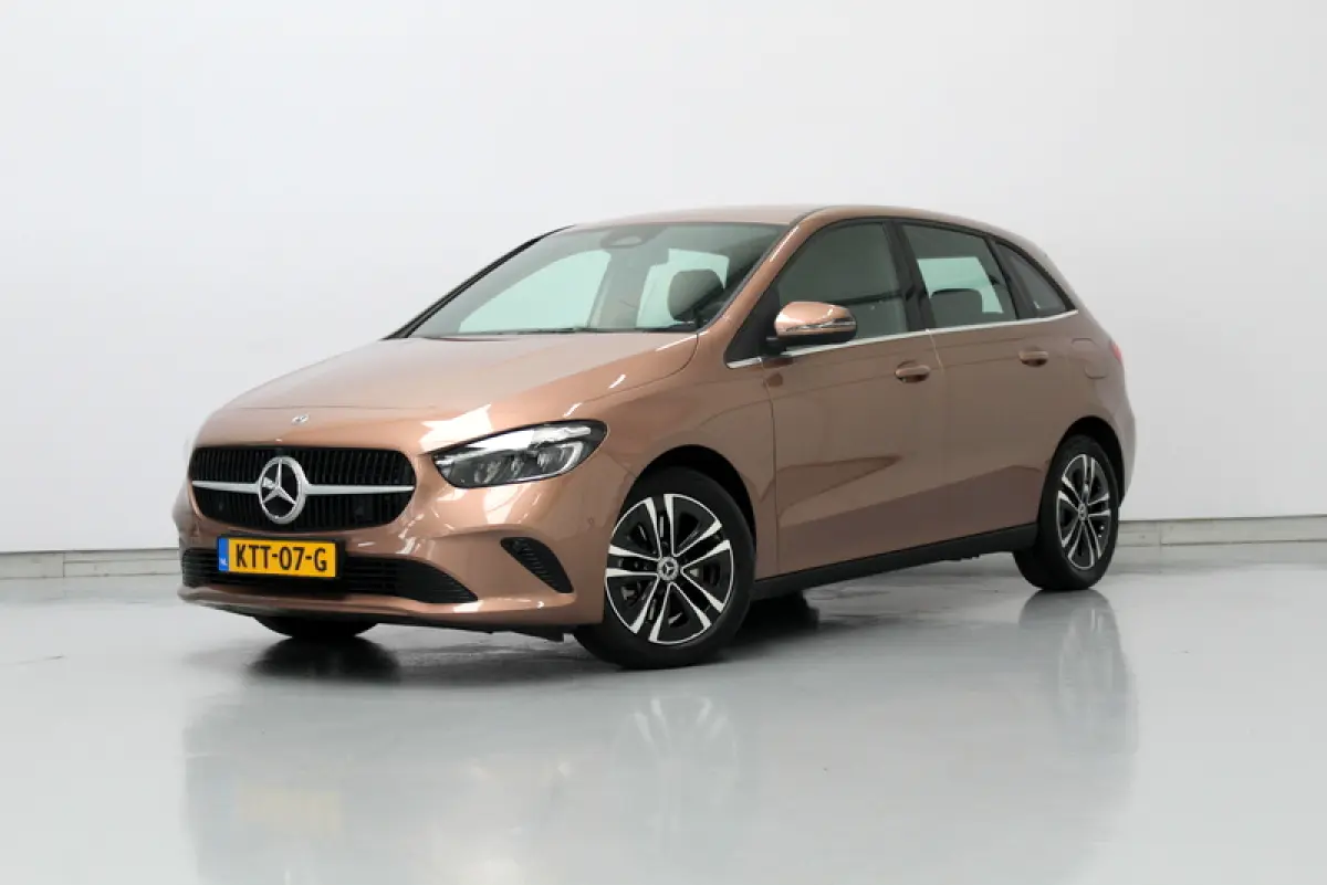 250 e Business Line, HYBRIDE | RIJKLAAR | CAMERA | ELEC-ACHTERKLEP | DEELS LEER | STOELVERWARMING
