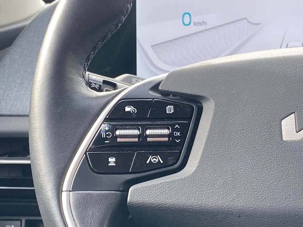 Air 58 kWh | Climate control | Navigatie | Parkeercamera | LM-velgen 19 inch | Adaptive cruise control | Line-assist | Dodehoek detectie |