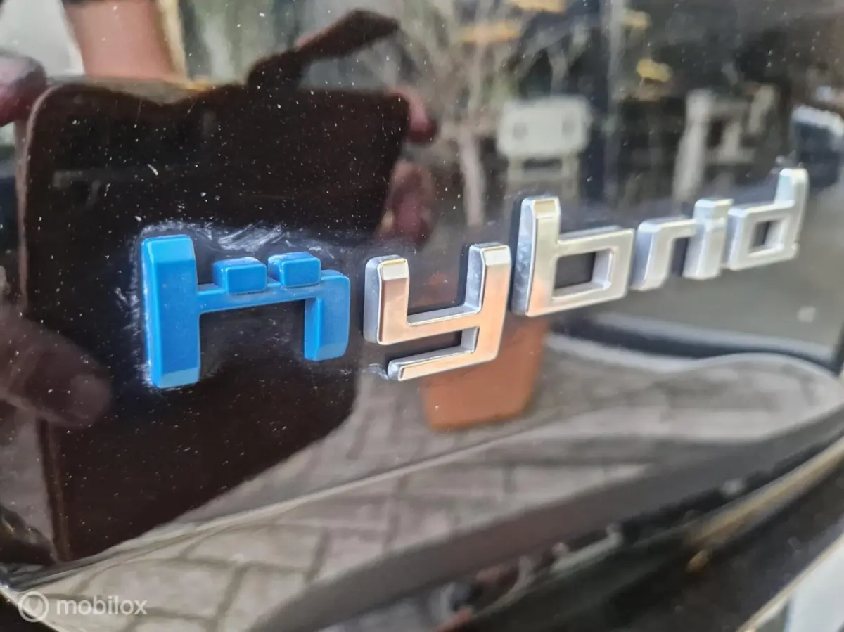 1.6 Plug-in Hybrid 225 Shine schuifdak