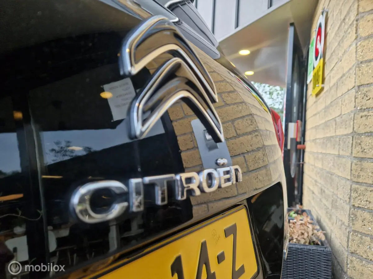 1.6 Plug-in Hybrid 225 Shine schuifdak