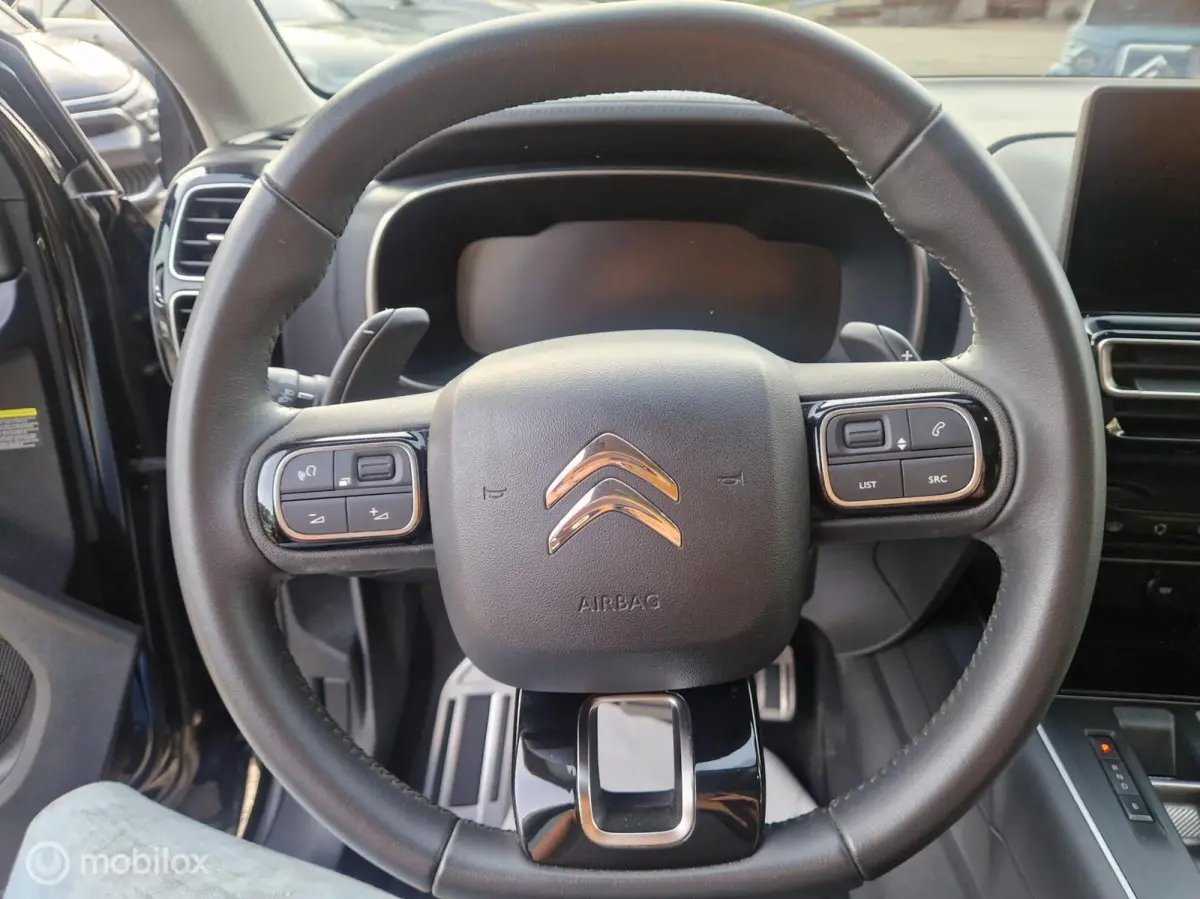 1.6 Plug-in Hybrid 225 Shine schuifdak