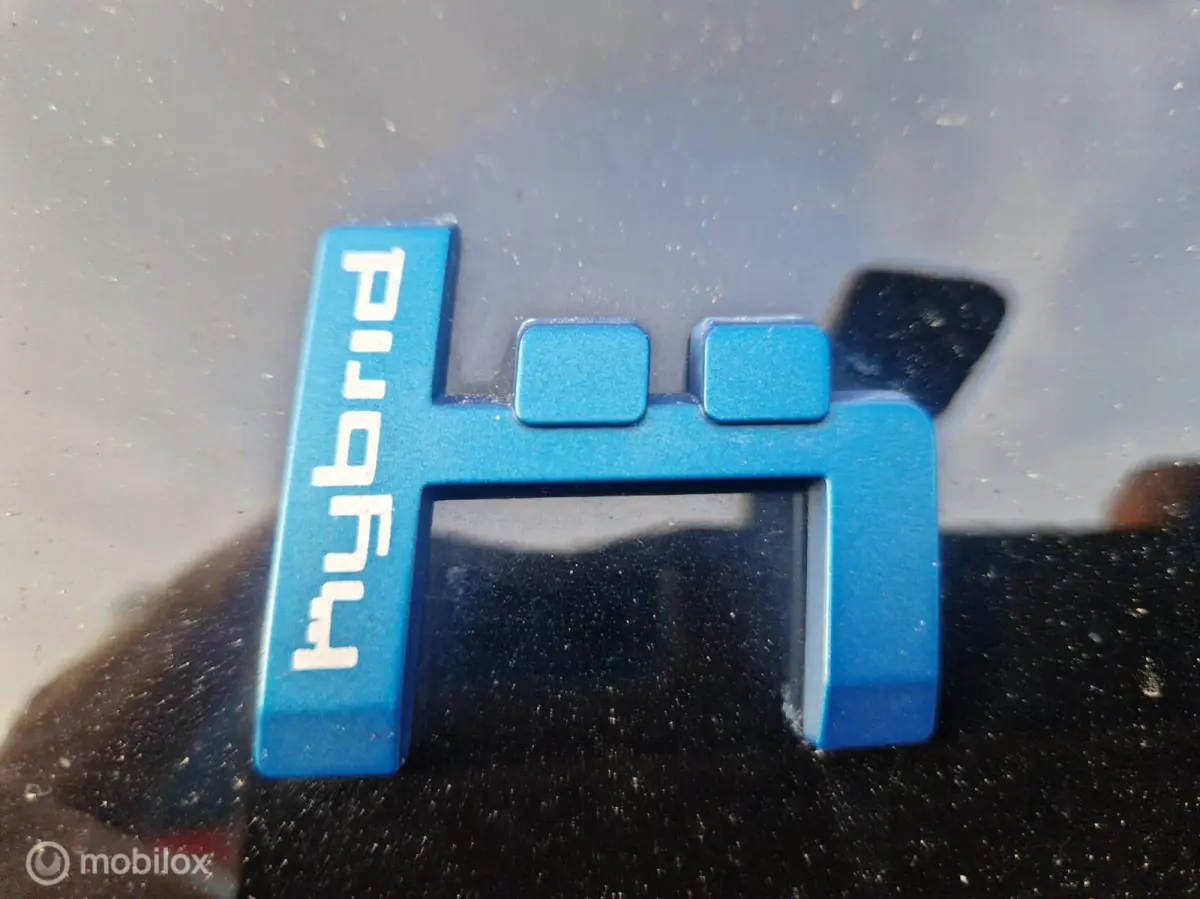 1.6 Plug-in Hybrid 225 Shine schuifdak