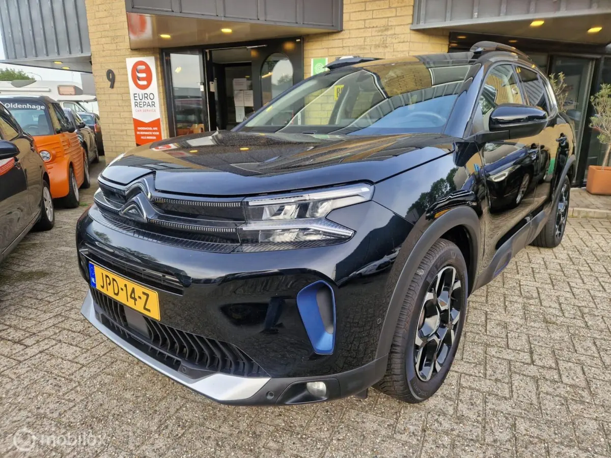 1.6 Plug-in Hybrid 225 Shine schuifdak