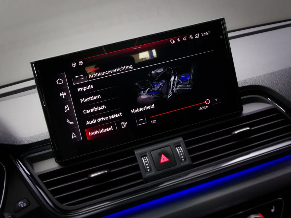 55 TFSI e S-Line Edition Competition (LUCHTVERING, PANORAMADAK, SFEERVERLICHTING, BANG&OLUFSEN, CAMERA, APPLE CARPLAY)