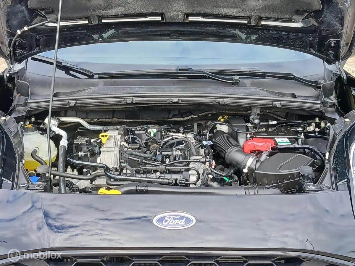 1.0 ST-Line EcoBoost 125 PK