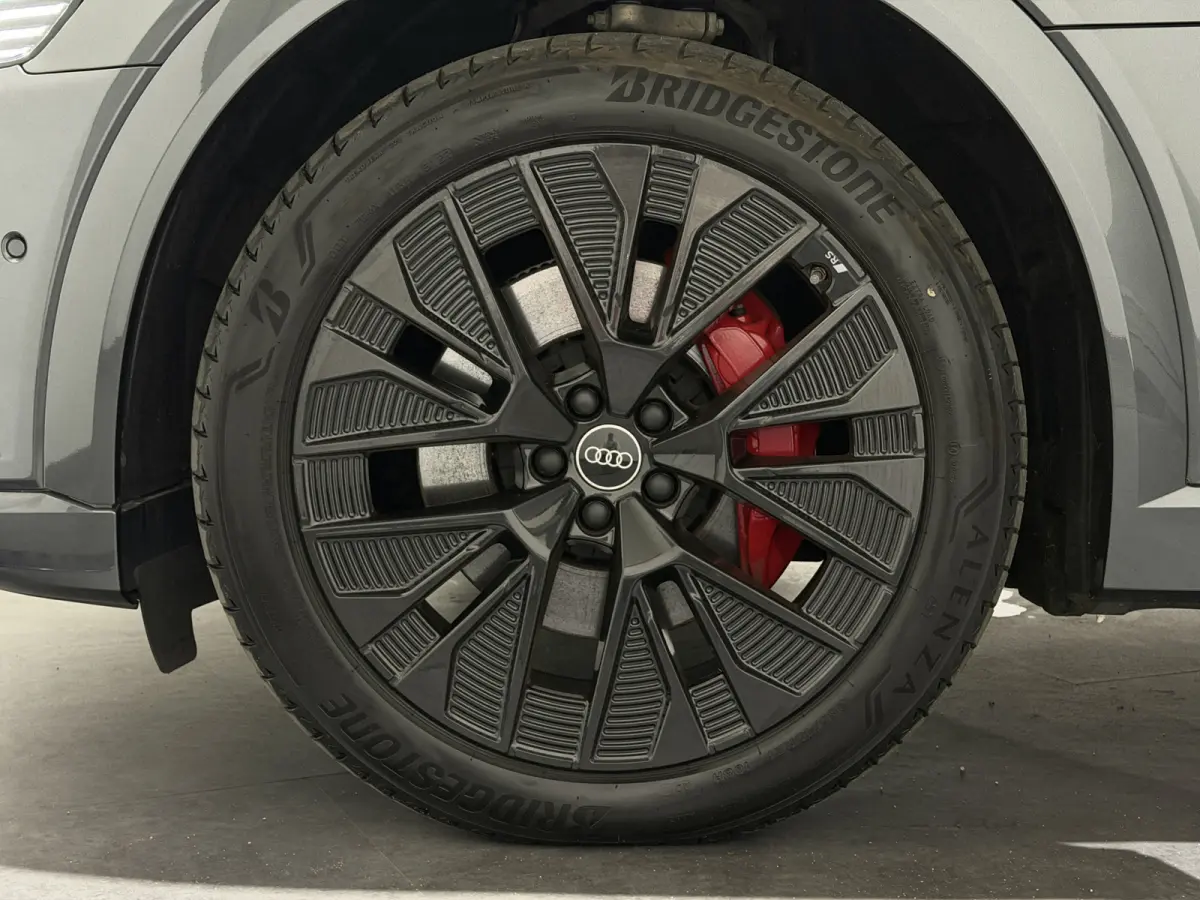 55 quattro S Edition 115 kWh | 22kW lader | Panoramadak | Keyless | Matrix LED