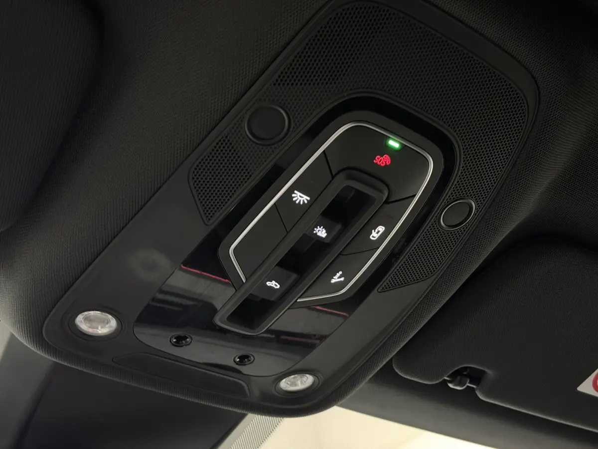 55 quattro S Edition 115 kWh | 22kW lader | Panoramadak | Keyless | Matrix LED