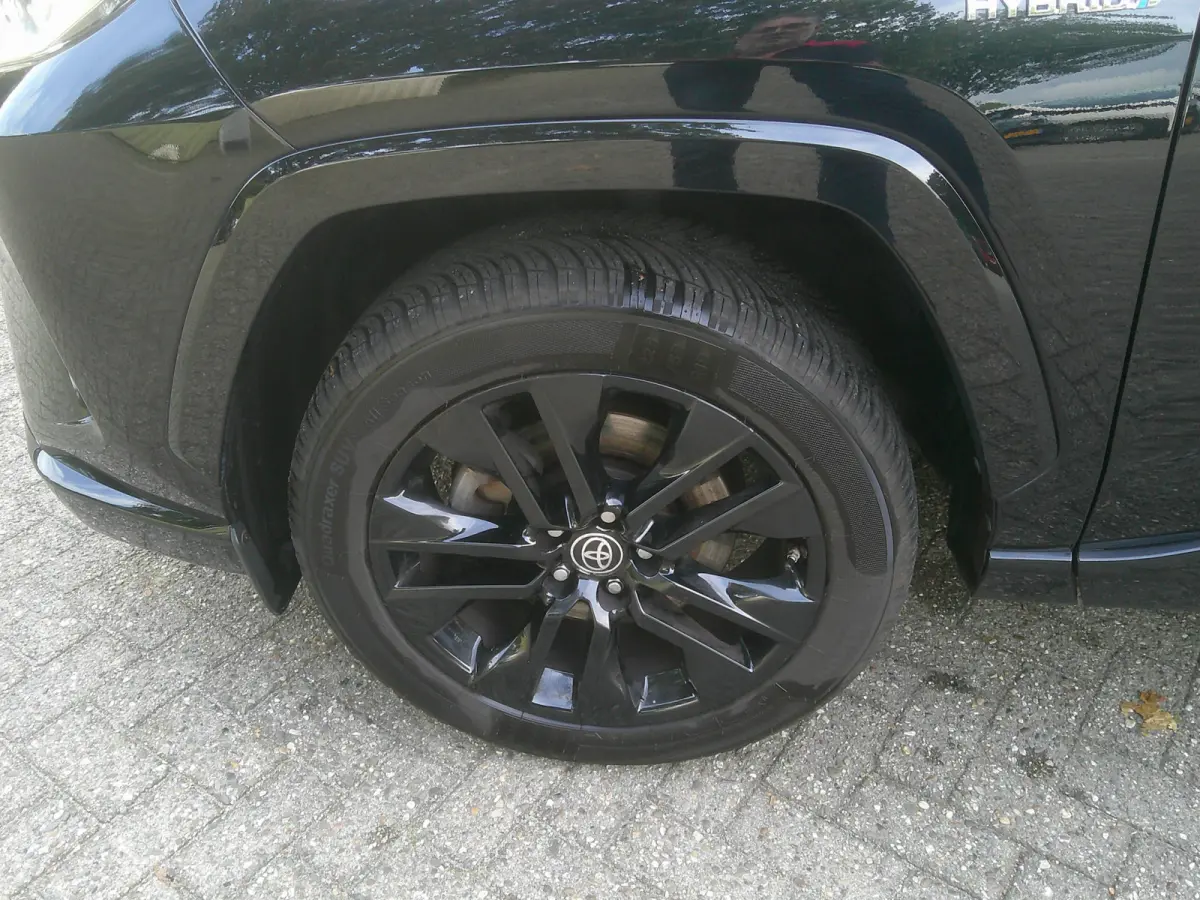 2.5 Hybrid AWD Black Edition Trekhaak