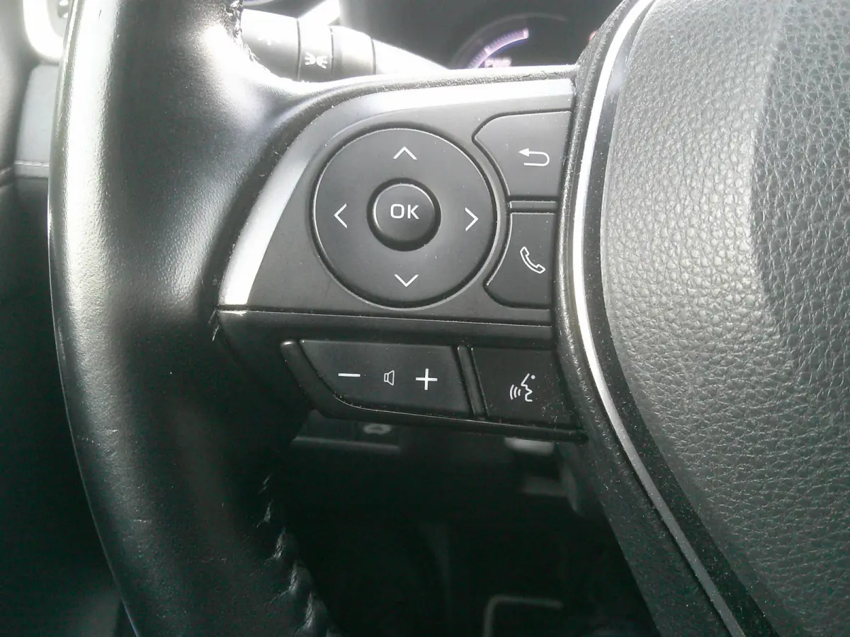 2.5 Hybrid AWD Black Edition Trekhaak