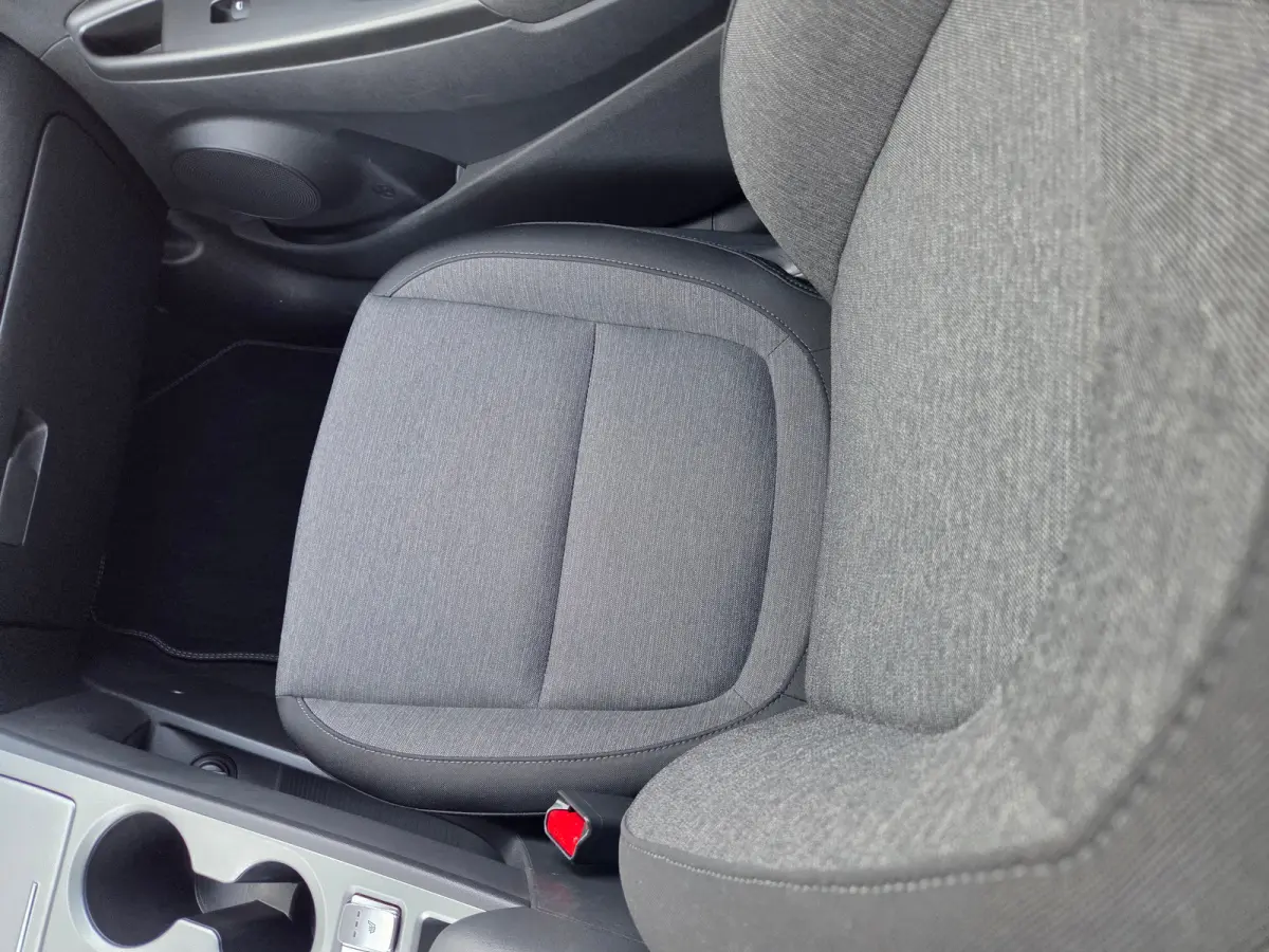 EV Comfort 39 kWh 39kWH 3-fase Cruise control / 39kWH 3-fase / bochtverlichting