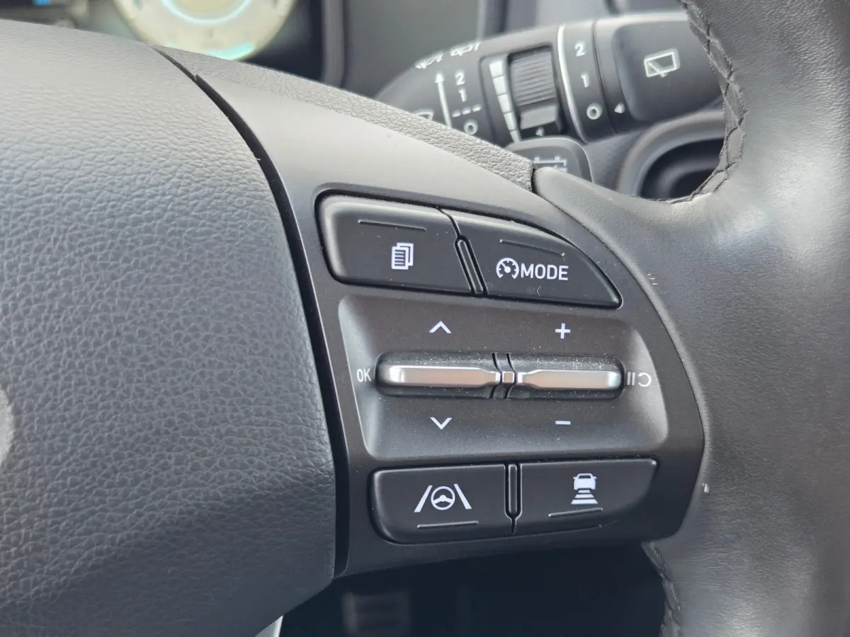 EV Comfort 39 kWh 39kWH 3-fase Cruise control / 39kWH 3-fase / bochtverlichting