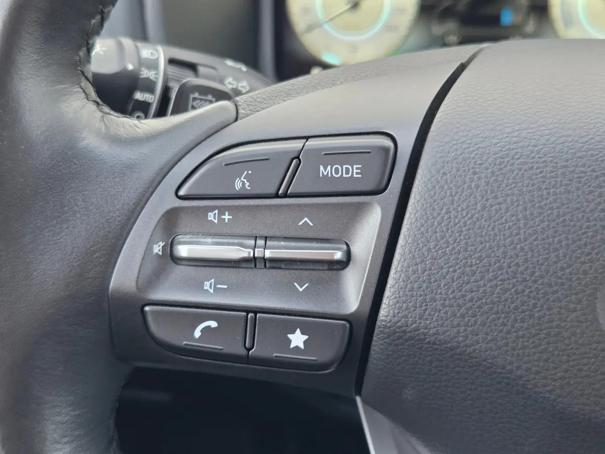 EV Comfort 39 kWh 39kWH 3-fase Cruise control / 39kWH 3-fase / bochtverlichting